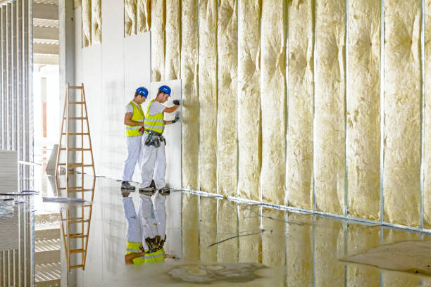 Professional Insulation Contractor in GA